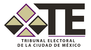Tribunal Electoral del Estado de México
